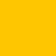 [Madeira-9241825-10] Polyneon No. 60 - 1500 m [924] - Kolor nr 1825