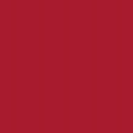 Polyneon No. 75 - 2500 m [936] - Kolor nr 1639