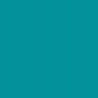 Polyneon No. 75 - 2500 m [936] - Kolor nr 1746