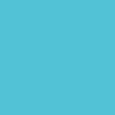 Polyneon No. 40 - 1000 m [919] - Kolor nr 1594