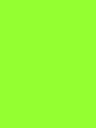 Polyneon No. 40 - 1000 m [919] - Kolor nr 1599