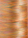 Polyneon No. 40 - 1000 m [919] - Kolor nr 1600