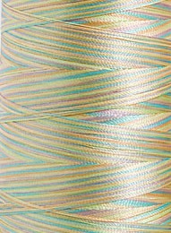 Polyneon No. 40 - 1000 m [919] - Kolor nr 1603