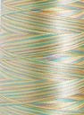 Polyneon No. 40 - 1000 m [919] - Kolor nr 1603