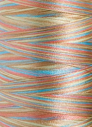 Polyneon No. 40 - 1000 m [919] - Kolor nr 1604