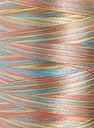 Polyneon No. 40 - 1000 m [919] - Kolor nr 1604