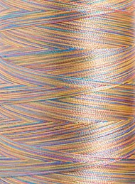 Polyneon No. 40 - 1000 m [919] - Kolor nr 1605