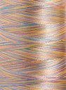 Polyneon No. 40 - 1000 m [919] - Kolor nr 1605