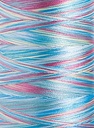 Polyneon No. 40 - 1000 m [919] - Kolor nr 1606