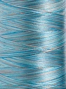 Polyneon No. 40 - 1000 m [919] - Kolor nr 1607