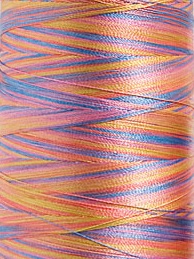Polyneon No. 40 - 1000 m [919] - Kolor nr 1609