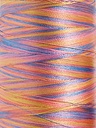 Polyneon No. 40 - 1000 m [919] - Kolor nr 1609