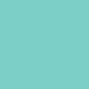 Polyneon No. 40 - 1000 m [919] - Kolor nr 1645