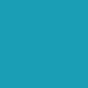 Polyneon No. 40 - 1000 m [919] - Kolor nr 1694