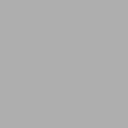 Polyneon No. 40 - 1000 m [919] - Kolor nr 1812