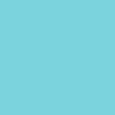 Polyneon No. 40 - 1000 m [919] - Kolor nr 1892