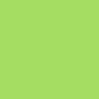 Classic No. 40 - 5000 m [910] - Kolor nr 1248