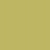 Polyneon No. 75 - 2500 m [936] - Kolor nr 1809