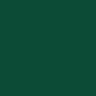Classic No. 30 - 3000 m [921] - Kolor nr 1304