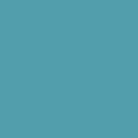Classic No. 40 - 1000m [911] - Kolor nr 1289 