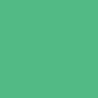 Classic No. 40 - 1000m [911] - Kolor nr 1301 