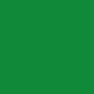 Polyneon Green - 5000 m [718] - Kolor nr 6988