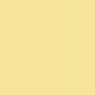 Polyneon No. 75 - 2500 m [936] - Kolor nr 1561