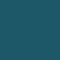 [8133460] Burmilana No. 12 - 1000 m [813] - Kolor nr 3460