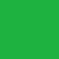 [8133826] Burmilana No. 12 - 1000 m [813] - Kolor nr 3826