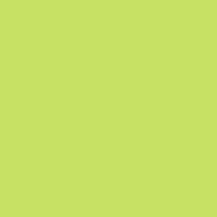 [8133854] Burmilana No. 12 - 1000 m [813] - Kolor nr 3854