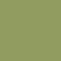 Burmilana No. 12 - 1000 m [813] - Kolor nr 3905