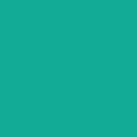 [8133996] Burmilana No. 12 - 1000 m [813] - Kolor nr 3996