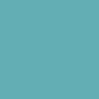 Classic No. 40 - 5000 m [910] - Kolor nr 1088