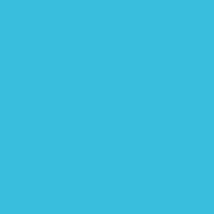 Classic No. 40 - 5000 m [910] - Kolor nr 1094