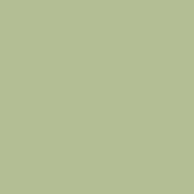 Classic No. 40 - 5000 m [910] - Kolor nr 1099