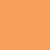 Classic No. 40 - 5000 m [910] - Kolor nr 1155