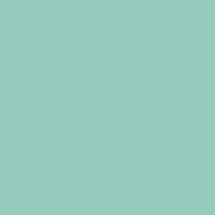 Classic No. 40 - 5000 m [910] - Kolor nr 1195