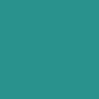 Classic No. 40 - 5000 m [910] - Kolor nr 1246