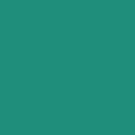 Classic No. 40 - 5000 m [910] - Kolor nr 1279
