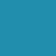 Classic No. 40 - 5000 m [910] - Kolor nr 1294