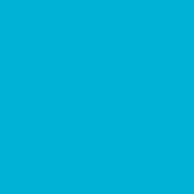 Classic No. 40 - 1000m [911] - Kolor nr 1095