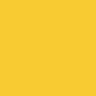 Classic No. 40 - 1000m [911] - Kolor nr 1224