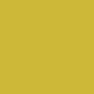 Classic No. 40 - 1000m [911] - Kolor nr 1323 