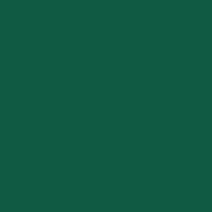 Classic No. 40 - 1000m [911] - Kolor nr 1351 