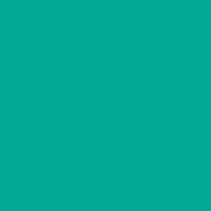 Classic No. 40 - 1000m [911] - Kolor nr 1380 