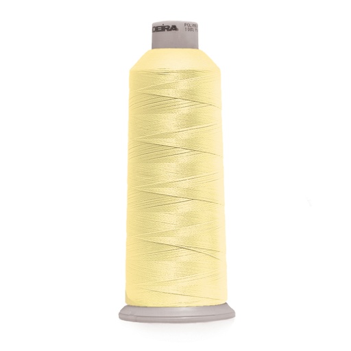 [9181561] Polyneon No. 40 - 5000 m [918] - Kolor nr 1561