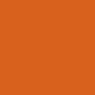 Polyneon No. 60 - 1500 m [924] - Kolor nr 1621