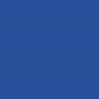 [9241642] Polyneon No. 60 - 1500 m [924] - Kolor nr 1642
