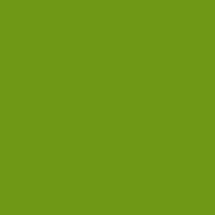 Polyneon No. 60 - 1500 m [924] - Kolor nr 1649