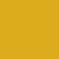 Polyneon No. 60 - 1500 m [924] - Kolor nr 1724